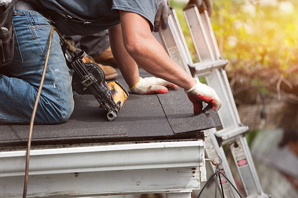 Best Roof Gutter Cleaning  in Canton, OH