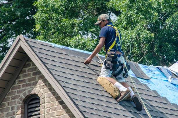 Best Storm Damage Roof Repair  in Canton, OH